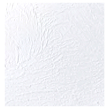 3mm Ply Wallboard - White Lopez